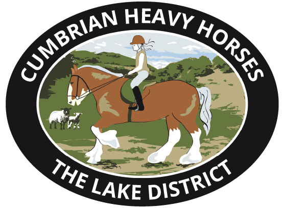 Cumbria Heavy Horses